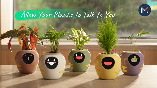 The Future of Gardening - How Masdio Plantbot Smart Flowerpot Change Everything