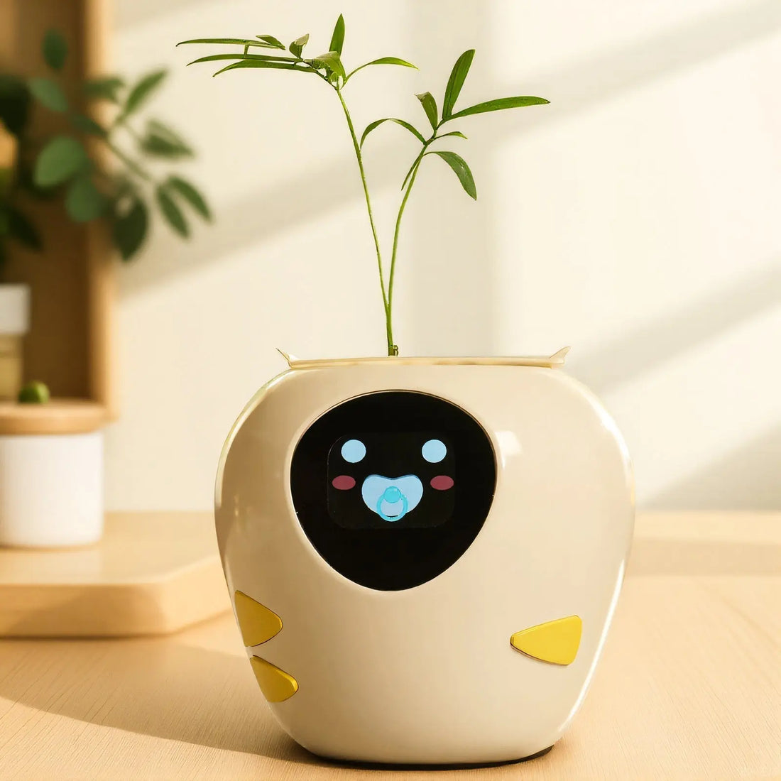 Light Up Your Life & Let It Grow: The Art of Home Ambiance Through Lighting and Planting 🌿💡