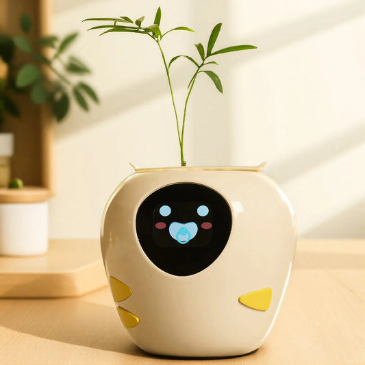 Light Up Your Life & Let It Grow: The Art of Home Ambiance Through Lighting and Planting 🌿💡