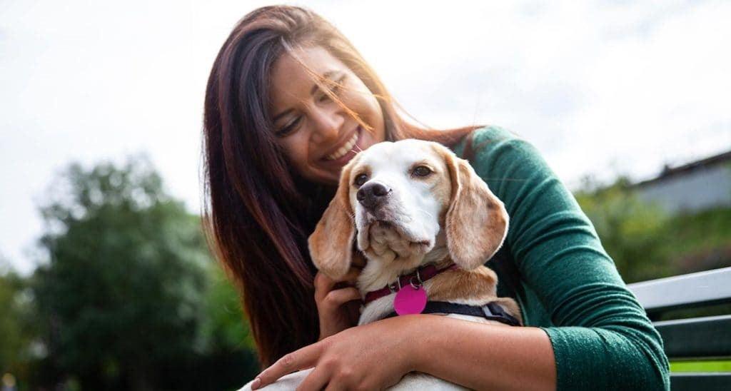 10 Reasons to Adopt a Senior Pet - Present Them