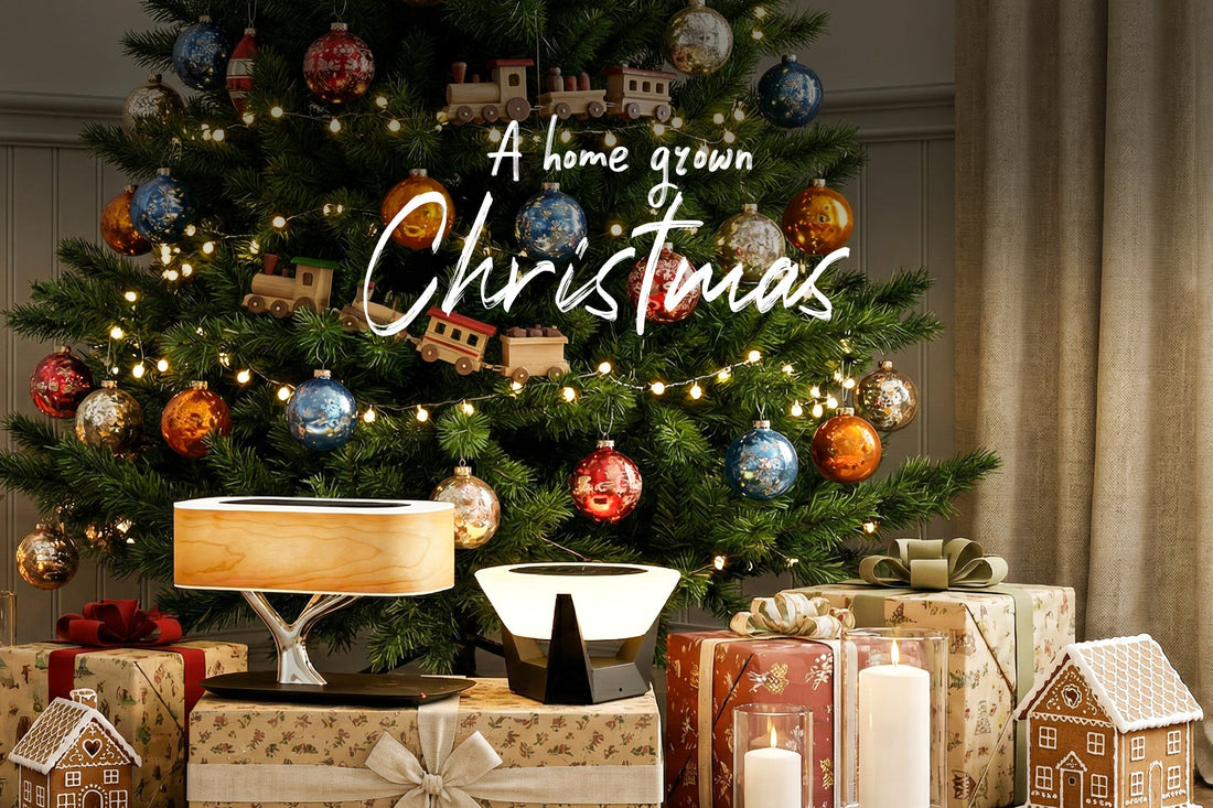 Creative Christmas House Lighting Ideas