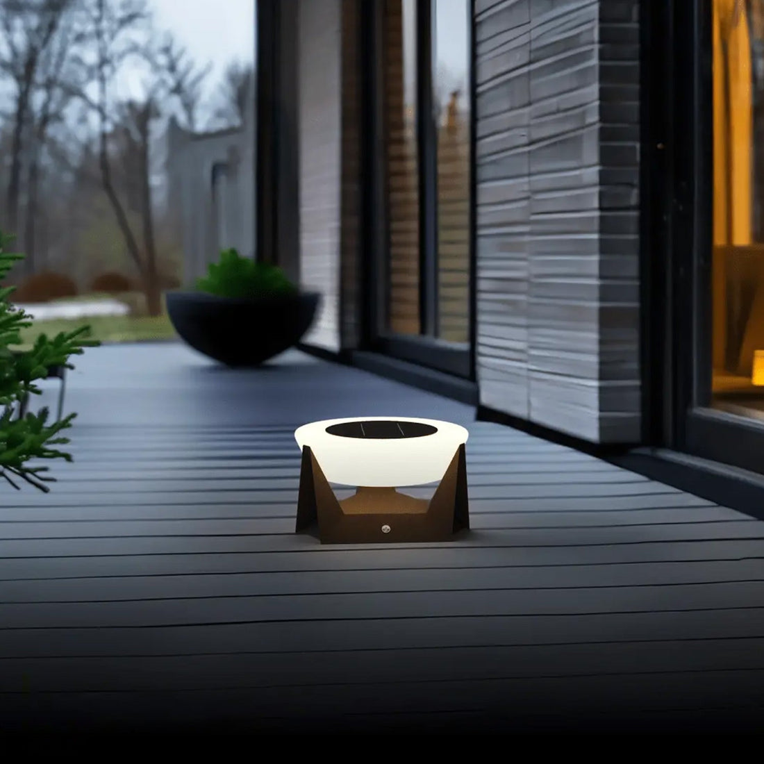 Light Up Your Backyard This Winter