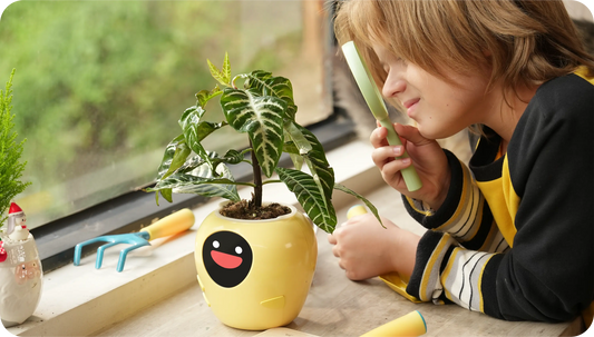 Let’s Redefining AI Gardening by a Small AI Companion
