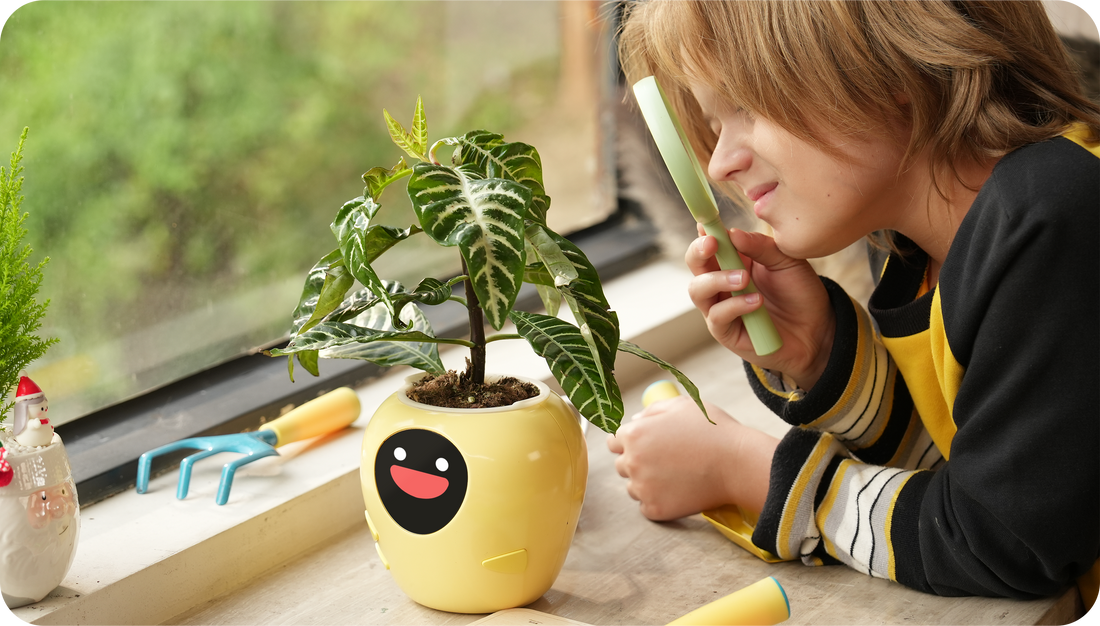 Let’s Redefining AI Gardening by a Small AI Companion