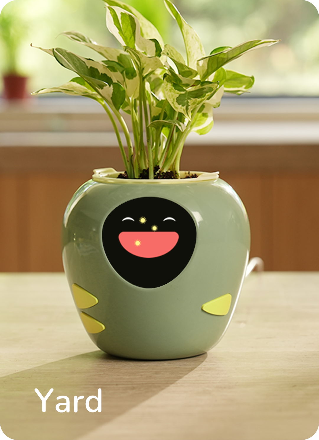 Embracing Green Innovation: The Masdio Plantbot Smart Flowerpots as a Christmas Gift