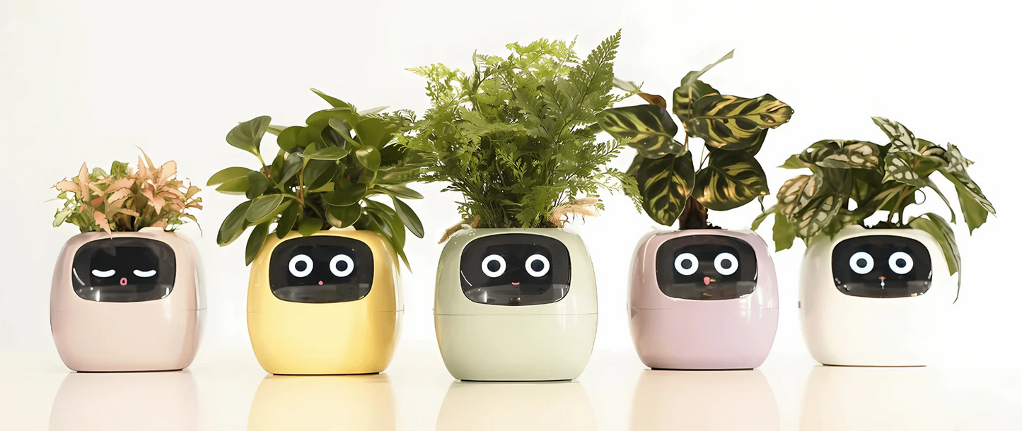 Masdio Ivy - Smart Flowerpots(APP Control)