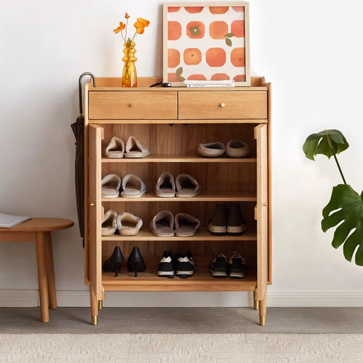SIDDH 2 Door Shoe Cabinet with Drawers