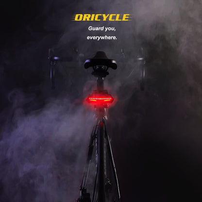 Masdio Oricycle C2 Rechargeable Bike Tail Light LED