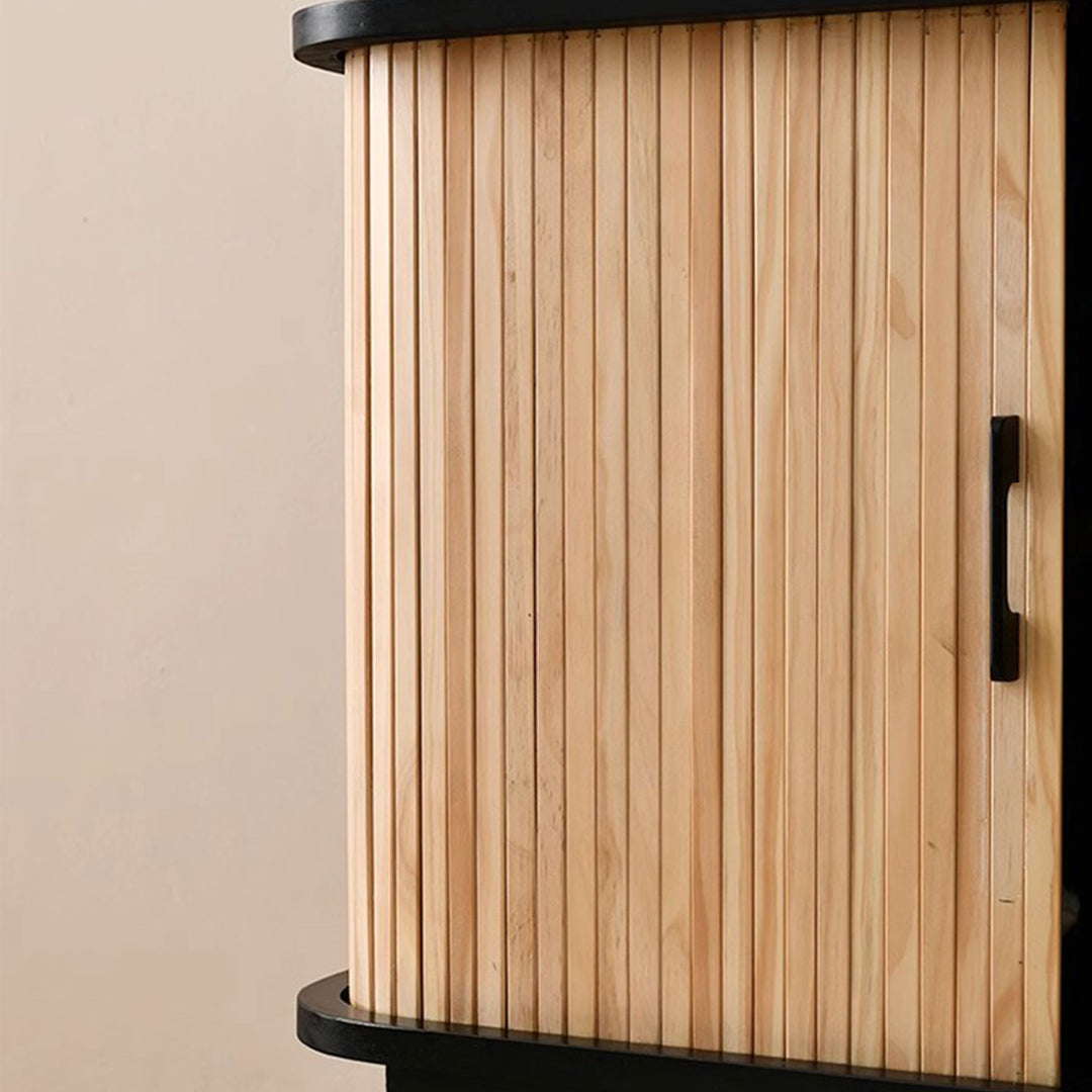 Contemporary 2-Door Wooden Cabinet