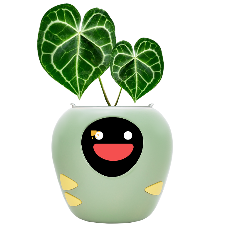 Masdio スマート植木鉢 (アプリ制御)