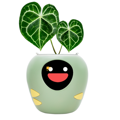 Masdio スマート植木鉢 (アプリ制御)
