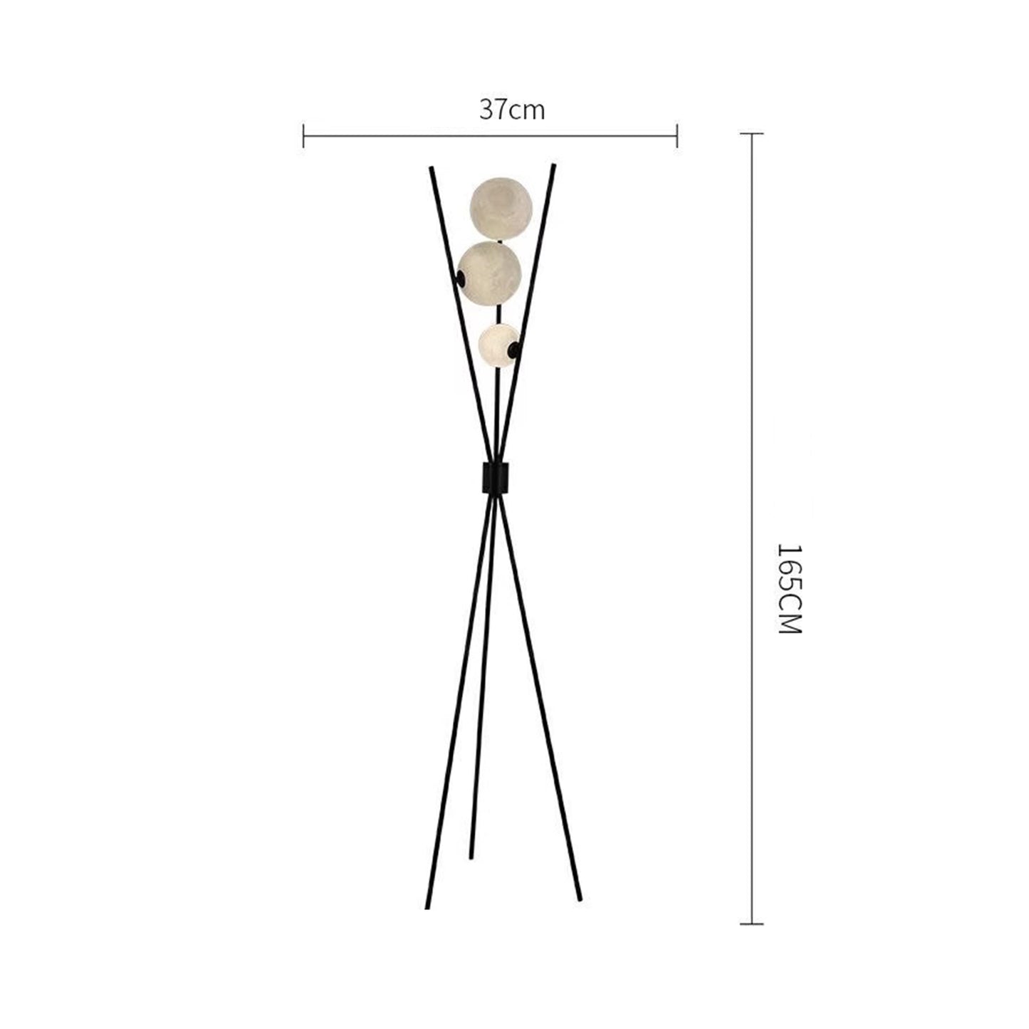 MAS-3458 Masdio Modern Floor Lamp