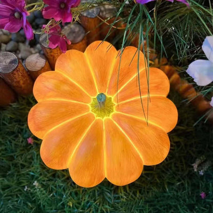 Masdio Pumpkin Lantern