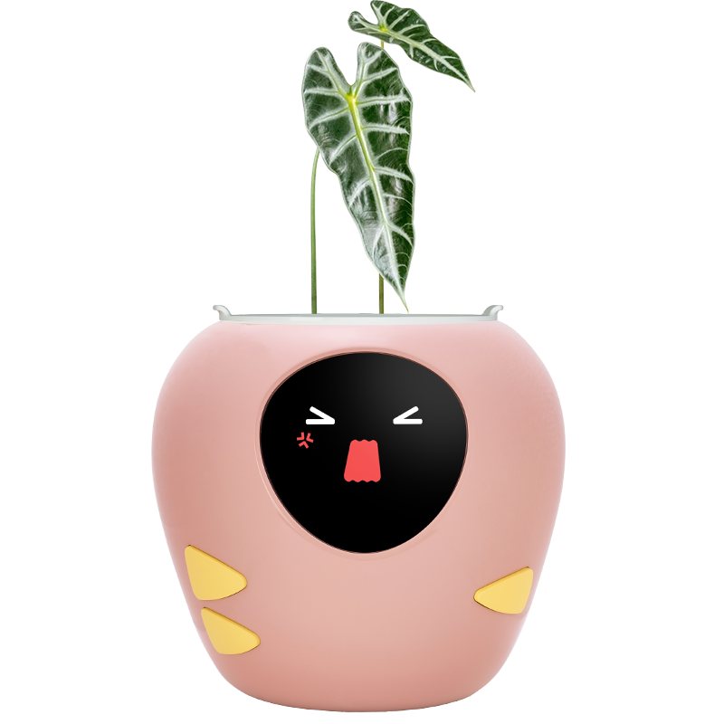 Masdio スマート植木鉢 (アプリ制御)