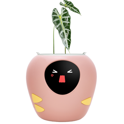 Masdio スマート植木鉢 (アプリ制御)
