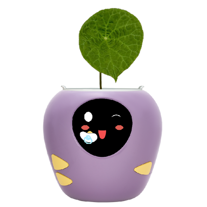Masdio スマート植木鉢 (アプリ制御)