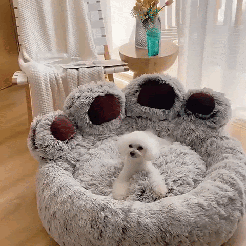 Stress Relief Paw Bed for Dogs