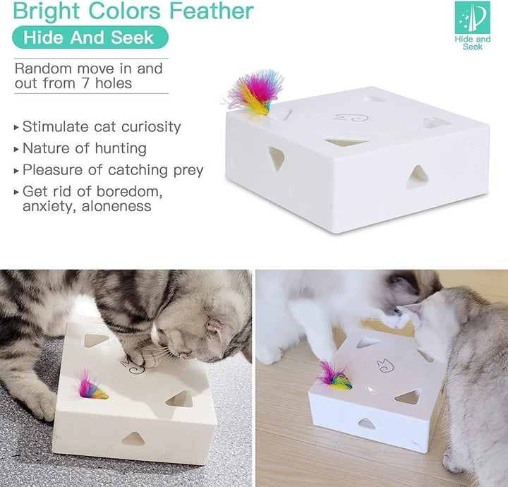 Cat Fun Box