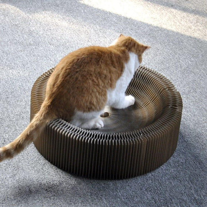 Collapsible Cat Scratcher Bed