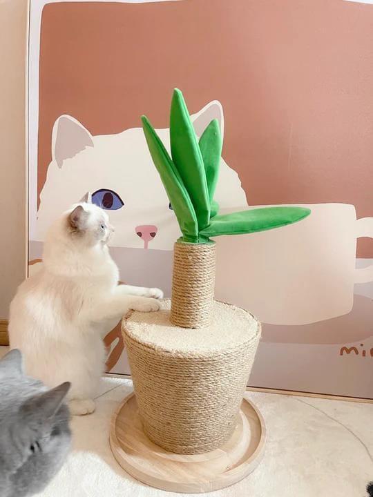 Potted Plants Scratching Post